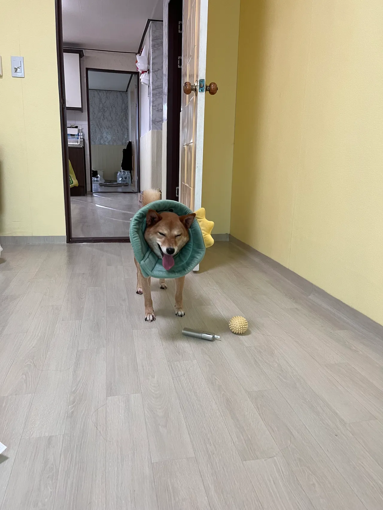 피드이미지