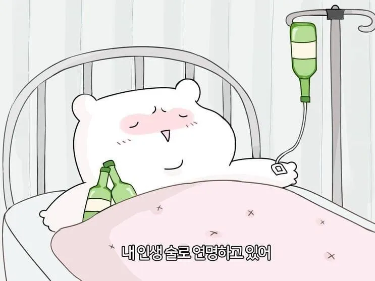 피드이미지