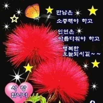 피드이미지