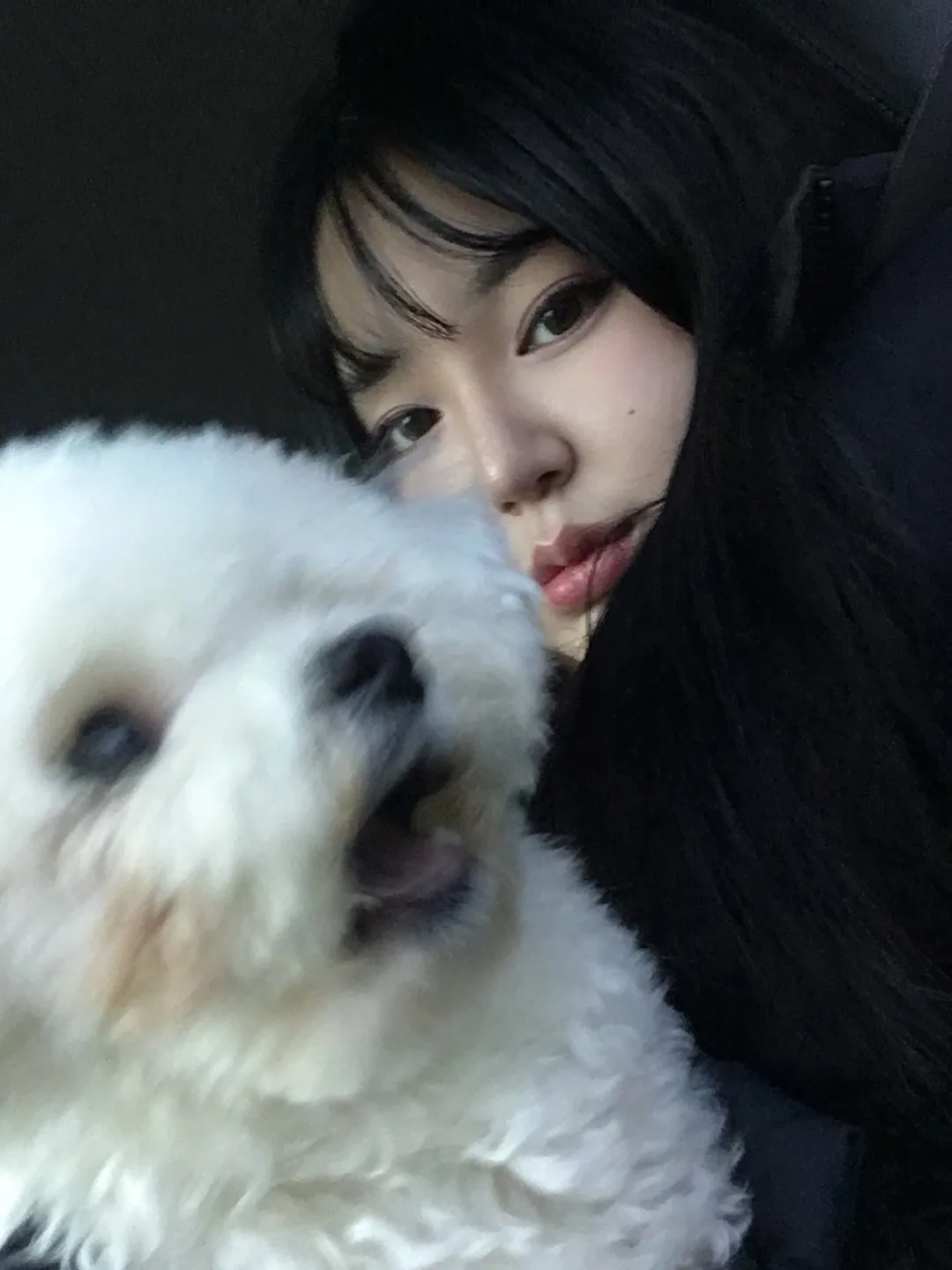 피드이미지
