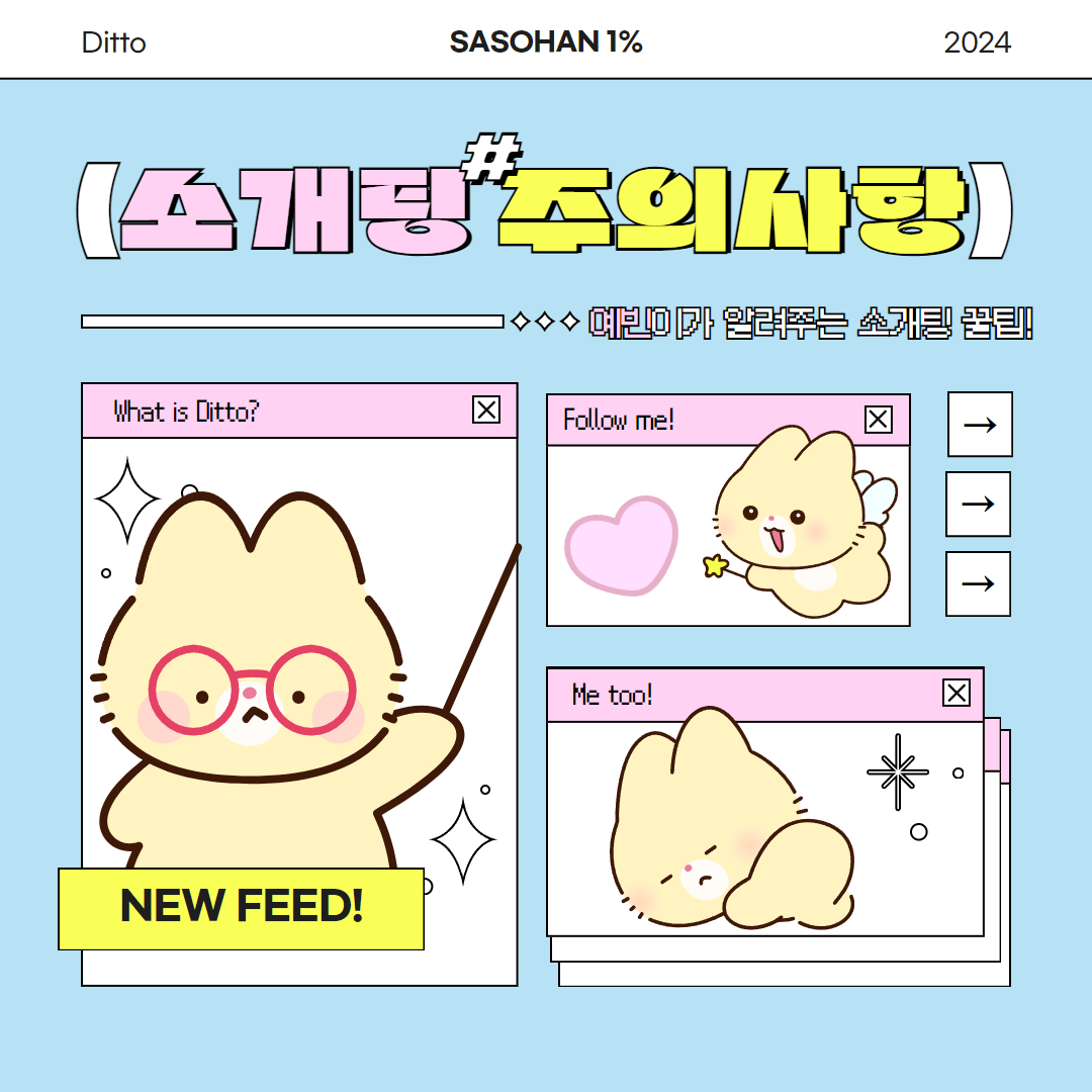 피드이미지