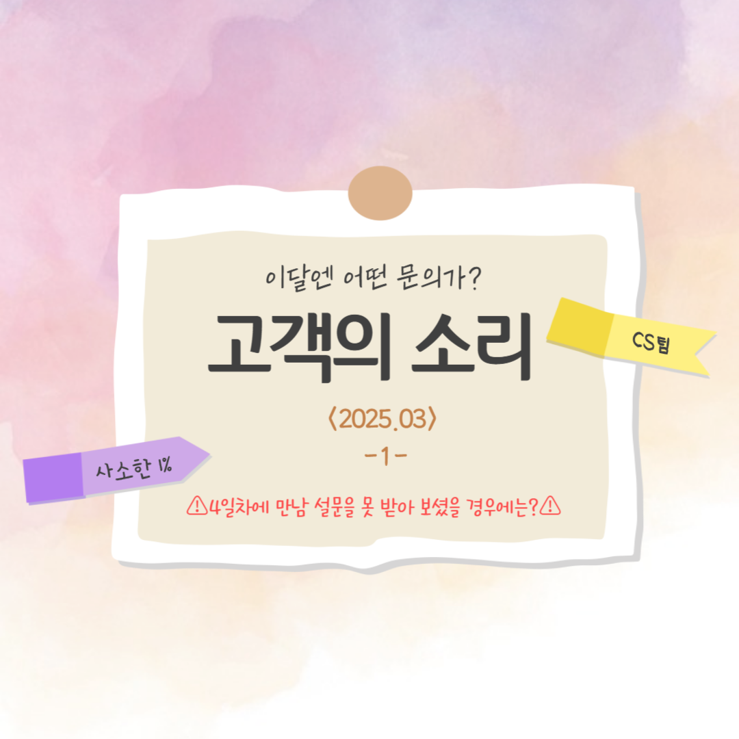 피드이미지