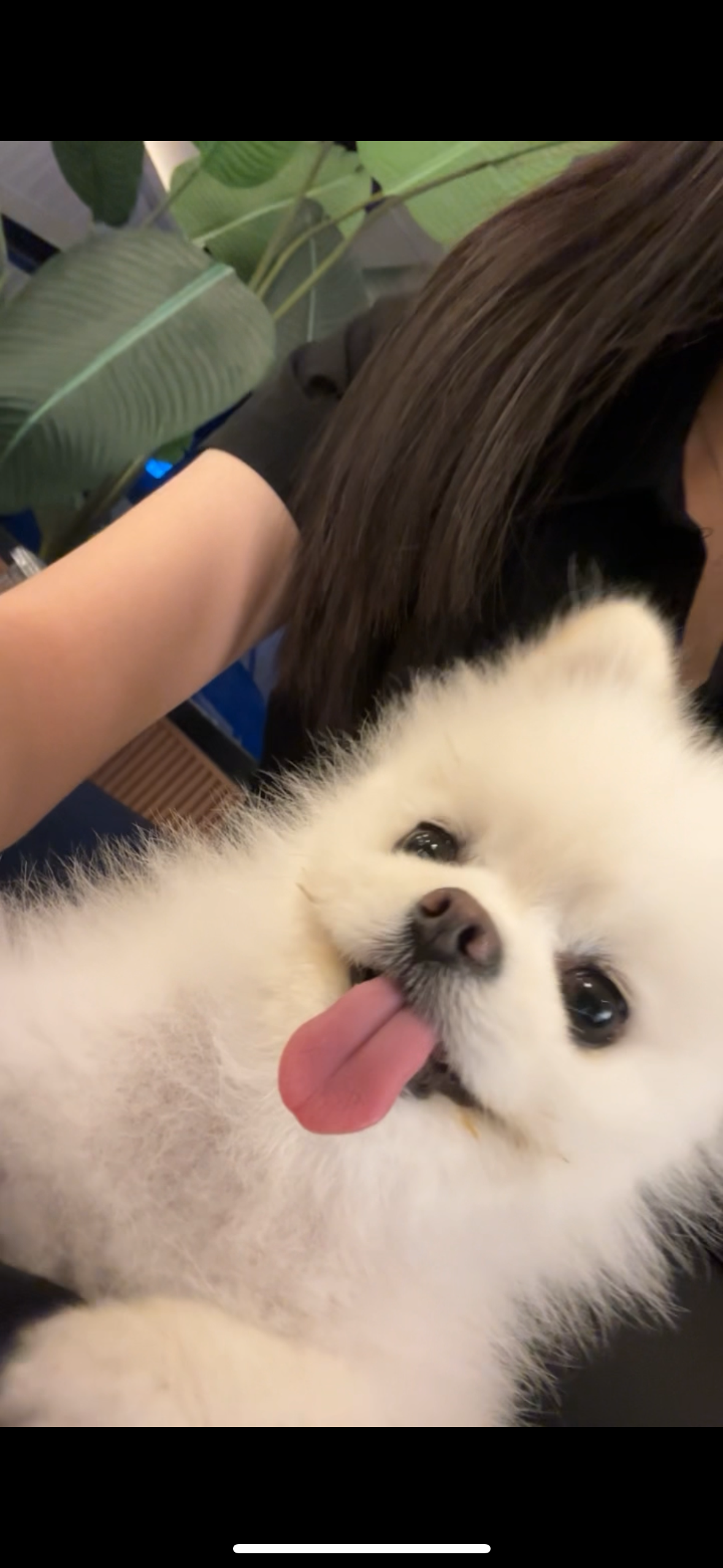 피드이미지
